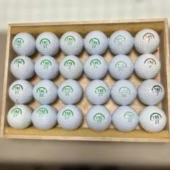 Item thumbnail for item 874696b7-46dc-4cde-8ac7-bec2c950ee26