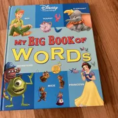 DWE ディズニー英語システム 美品アドベンチャーセット