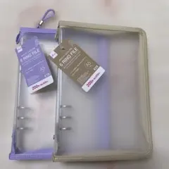 Item thumbnail for item b3f0827c-8cf0-4d03-a49d-1415f1ee3f0c