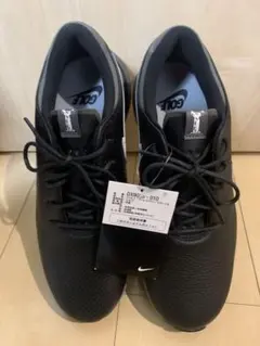 Nike エアズームビクトリー　27.0 入手困難☆【NIKE】Air Zoom Victory エア ズーム ビクトリー (Nike