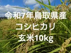令和7年産 京都府産 コシヒカリ 玄米20kg 減農薬 - メルカリ