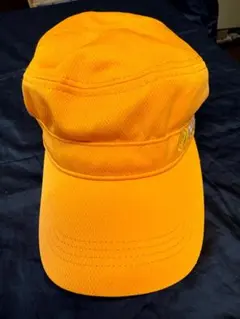 Item thumbnail for item e62a2567-aae2-41de-9a0c-e8c4aa9c0cee