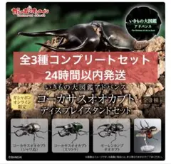 【オンライン版】いきもの大図鑑アドバンス　コーカサスオオカブト　全3種セット