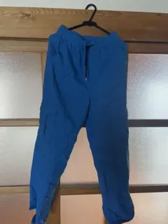 WEGO カーゴパンツ ブルー 青 ズボンFサイズ