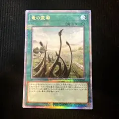 竜の霊廟 25th クオシクQCCP-JP194 遊戯王遊戯王カード