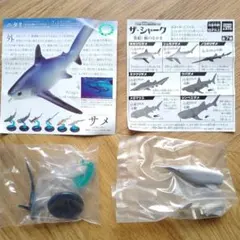 サメ フィギュア