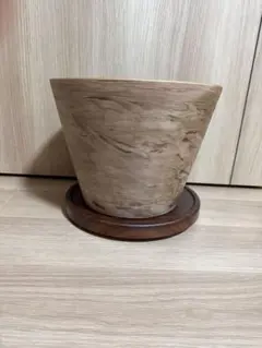 Zara Home ガラスプランター - メルカリ