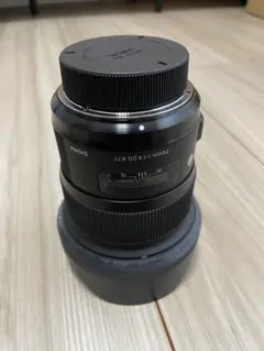 極美品大人気モデル】SIGMA DP2 レンズフード付属 その他付属品多数