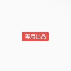 専用出品