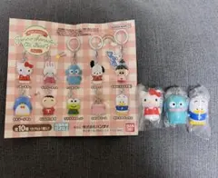 サンリオキャラクターズ めじるしアクセサリー キティ ハンギョドン ペックル