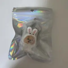 straykids スキズ ガチャガチャ つまつな クオッカ リービット