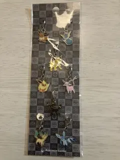 ポケモン メタルチャーム ブイズ