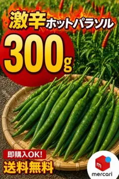 特別栽培】沖縄県産良品 激辛青唐辛子ホットパラソル200g⭐️12時間