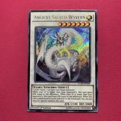 北米版 エンシェントホーリーワイバーン 1st レリーフ 深掘り個体 遊戯王 遊戯王 エンシェントホーリーワイバーン レリーフ 北米版 - メルカリ