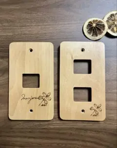 Item thumbnail for item 030cdcb0-505c-4f48-95bf-39bc9eb776db