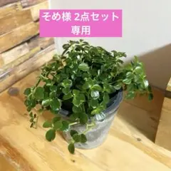 そめ様 リクエスト 2点 まとめ商品