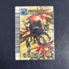 2026年最新】サンボンヅノカブトの人気アイテム - メルカリ