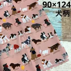犬柄 生地 はぎれ ピンク ボーダーコリー　ビーグル　ダックスフンド