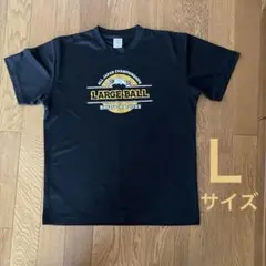 BMD 卓球大会Tシャツ