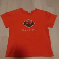 SiShuNon×PAW PATROL　パウパトTシャツ　ズーマ　110