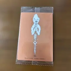 かいじゅうずかん 米津玄師 プレイヤ　カード 1枚
