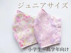 #445　ジュニアサイズ布マスク✾2枚セット