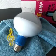 ナショナル ハニーボール電球 2個セット レトロ - メルカリ