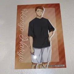 アオのハコ 特典 ブロマイド 針生健