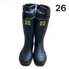 Item thumbnail for item 5259ac1e-1b25-4b42-beb5-35fd527863f1