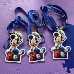 ディズニー　バケーションパッケージ　チケットホルダー