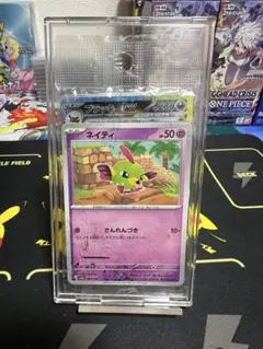 ブラッキーex SAR テラスタルフェスex