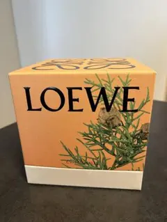 2025年最新】LOEWE アロマ・キャンドルの人気アイテム - メルカリ