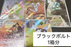 ブラックボルト　Nの筋書き　マモコ　メロエッタSR