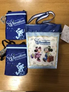 ひなてっとん様専用　東京ディズニーリゾート バケーションパッケージバッグセット