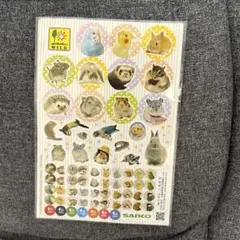 動物シール 2枚セット