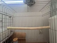 Item thumbnail for item bf370497-75d3-4c9a-b6a2-bf11ffafba7f