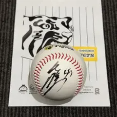 Item thumbnail for item 07cff97e-3e0f-45c7-8d99-9a93d81ff664