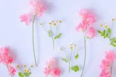 とらかん様専用ページ    721  ドライフラワーローズバッド、ヘッド