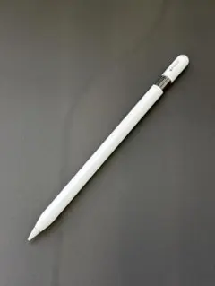 Apple Pencil ホワイト / USB-C / <No.2148>