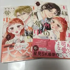王様たちはあの子に夢中全2巻セット