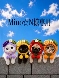 Mino☆N様専用