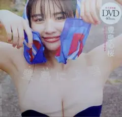 豊島心桜 DVD 週間プレイボーイ付録 新品未開封