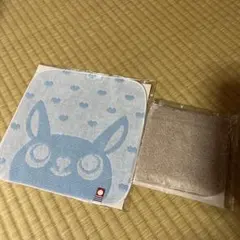 Item thumbnail for item 2df61c77-1e3f-4cd6-9427-1f39d324ef31