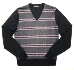 美品「CORNELIANI」ハイゲージ Vネック セーター ルーマニア製　46