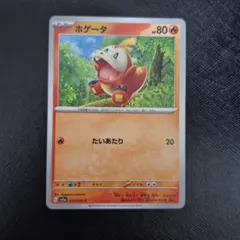 ポケモンカード ホゲータのサムネイル