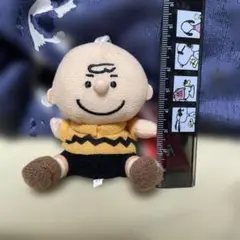 スヌーピー SNOOPY ソフトビーンドールセット 4体まとめ売り - メルカリ