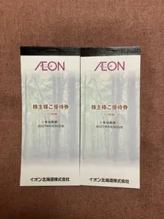 イオン北海道 株主優待券 10000円 10000円分 イオン北海道 株主優待券 お買物値引券 匿名配送 - メルカリ