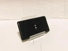 ☆ラスト1品☆【新品・高級品】ガルーシャキーケース キャビア