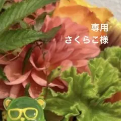 さくらこ様 リクエスト 10点 まとめ商品