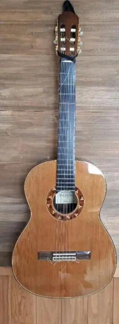 TAKAMINE 클래식 기타 TGL6-C